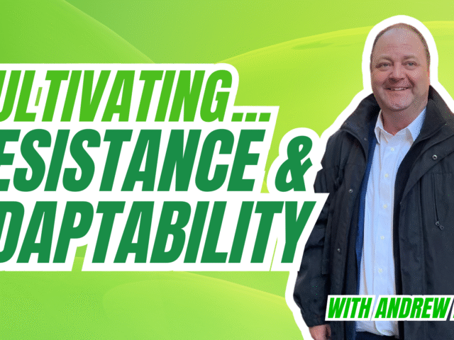 Resilience in the Business World