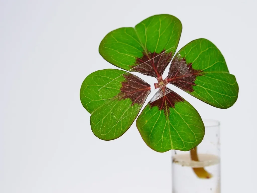 a four leaf clover, representing 4 Leaf Performance's drive to help businesses with their risk management plans